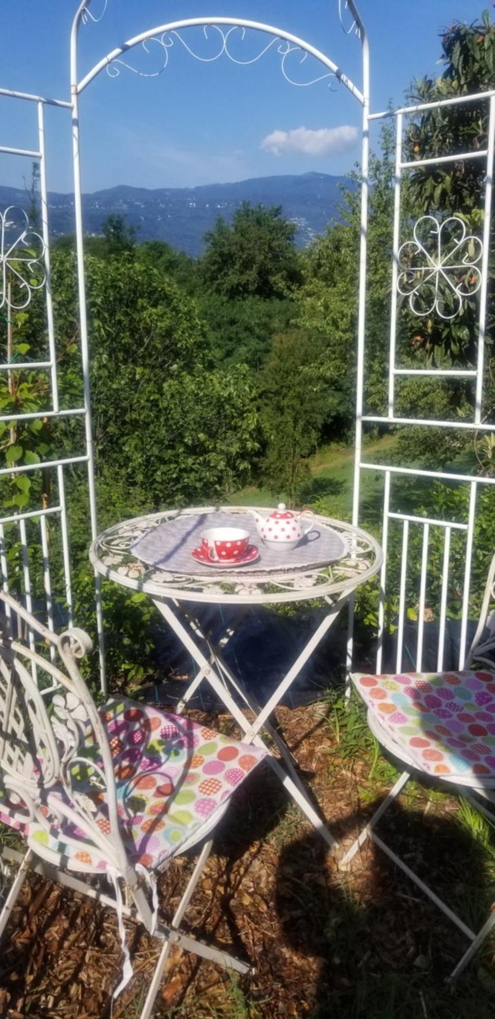 Villetta Claudetta Laveno-Mombello Exteriör bild